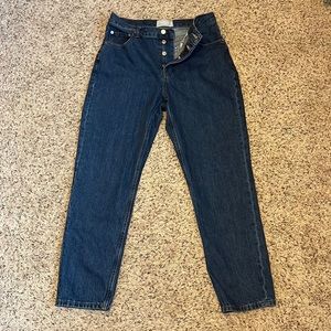 NWOT Everlane 90s Cheeky Jean